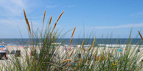 Strand von Norderney Strand von Norderney